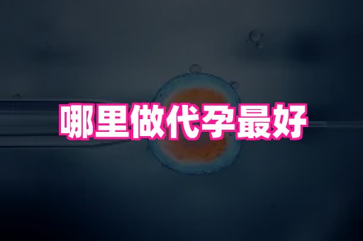 长春助孕网 1
