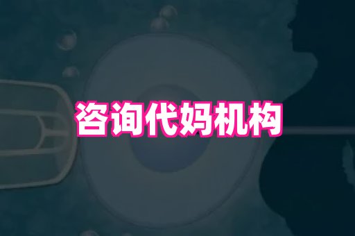 长春助孕网 3